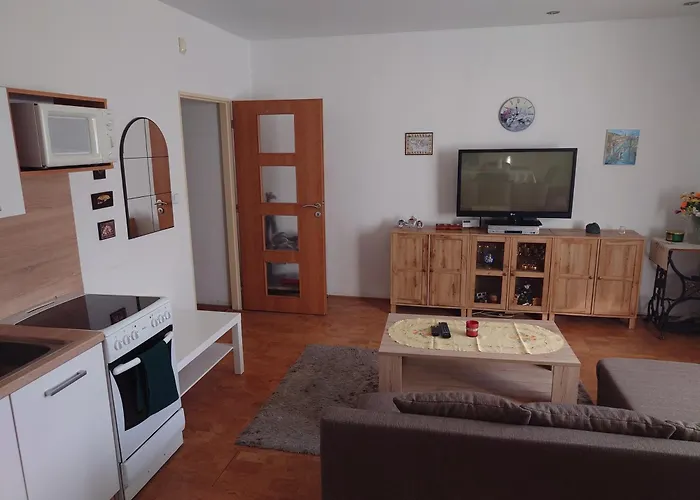 Zukalka 2kk - Prizemi Apartment Ostrava